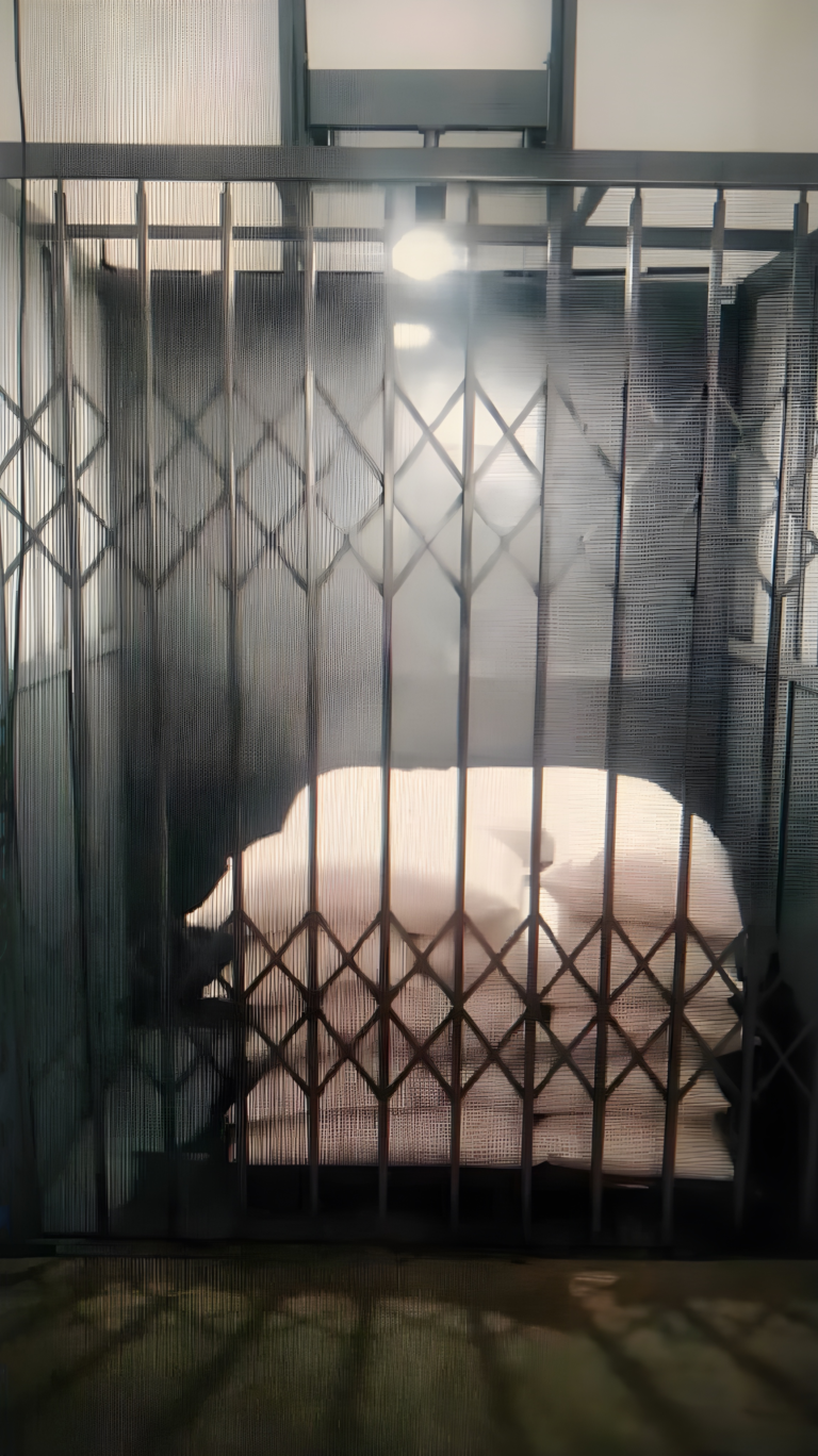 Projetos-Realizados-03